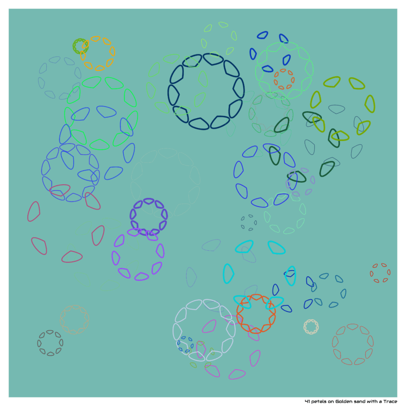 41 petals on Golden sand with a Trace