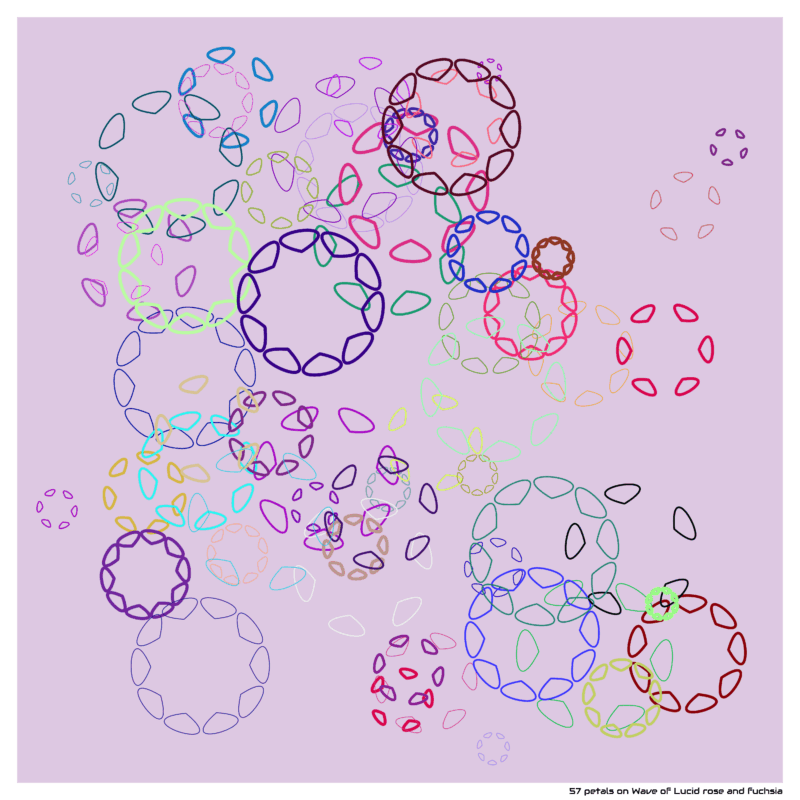 57 petals on Wave of Lucid rose and fuchsia