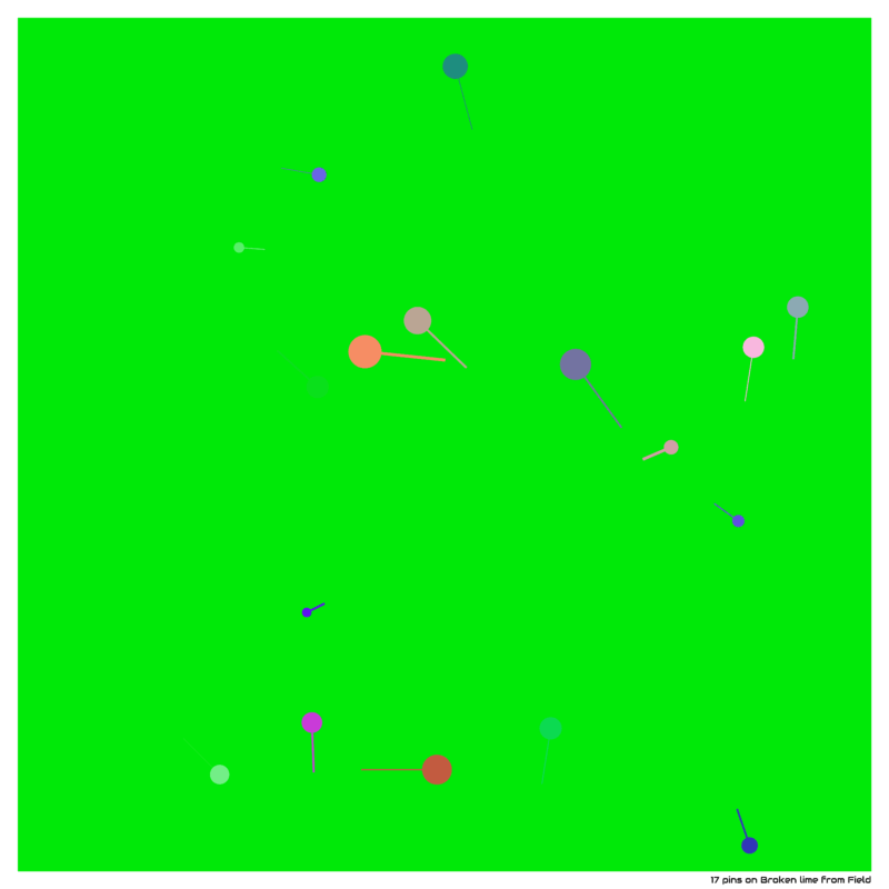 17 pins on Broken lime from Field
