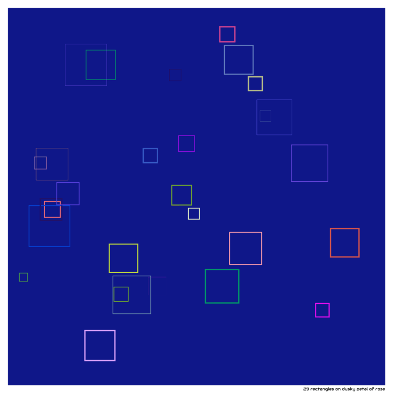 29 rectangles on dusky petal of rose