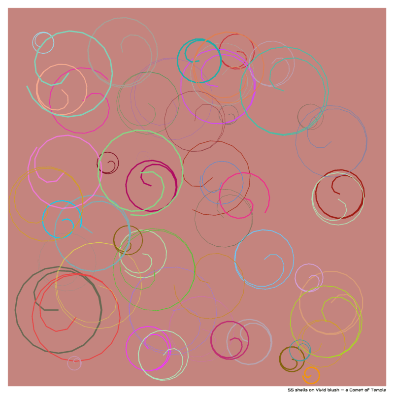 55 shells on Vivid blush — a Comet of Temple