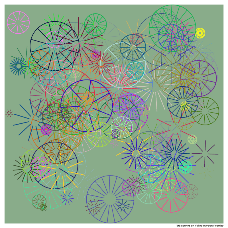 135 spokes on Veiled maroon Promise