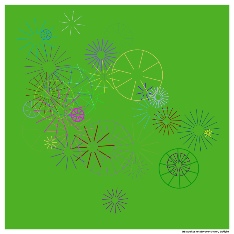 35 spokes on Serene cherry Delight