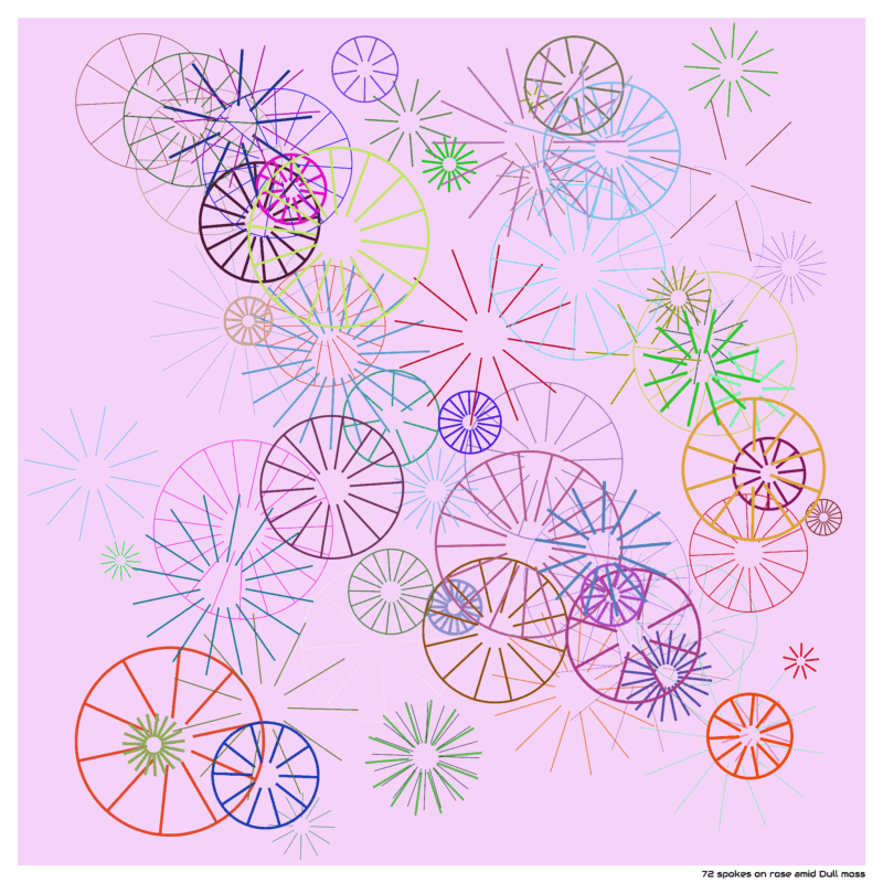 72 spokes on rose amid Dull moss