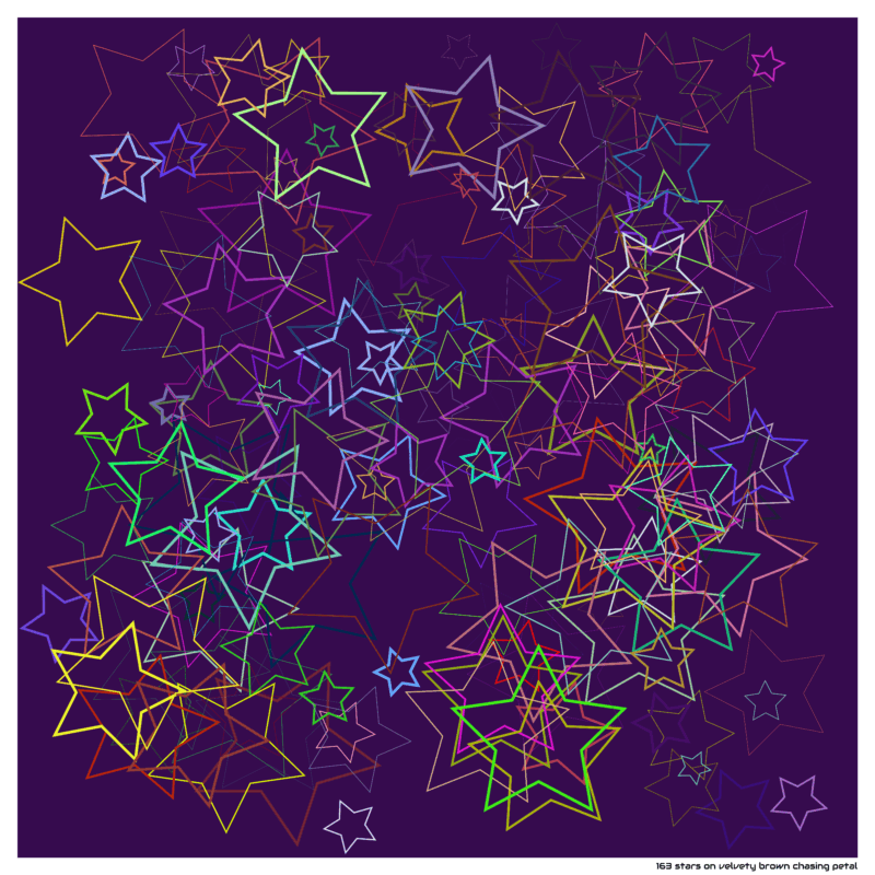 163 stars on velvety brown chasing petal