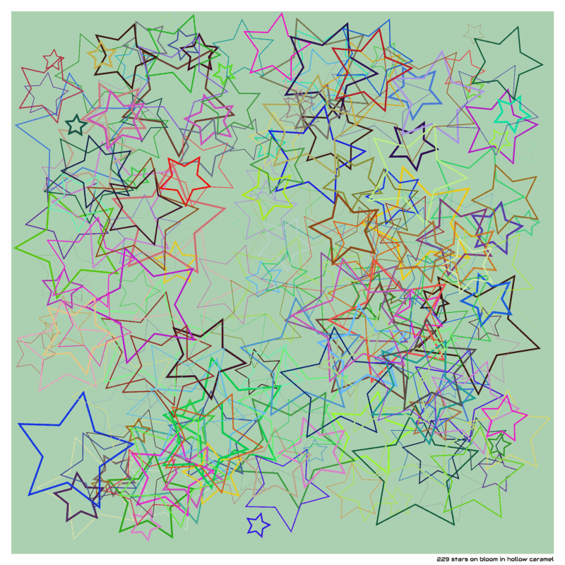 229 stars on bloom in hollow caramel