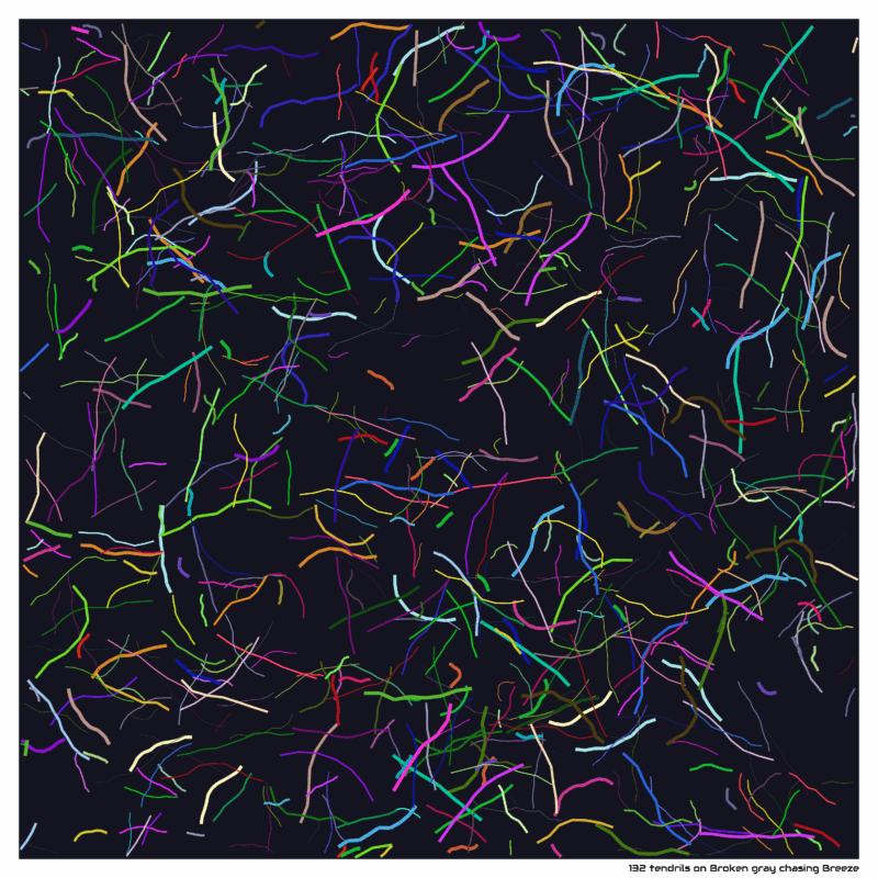 132 tendrils on Broken gray chasing Breeze