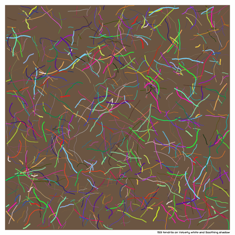 153 tendrils on Velvety white and Soothing shadow