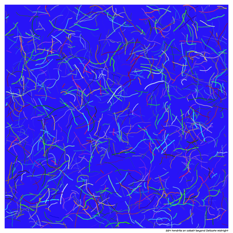 224 tendrils on cobalt beyond Delicate midnight