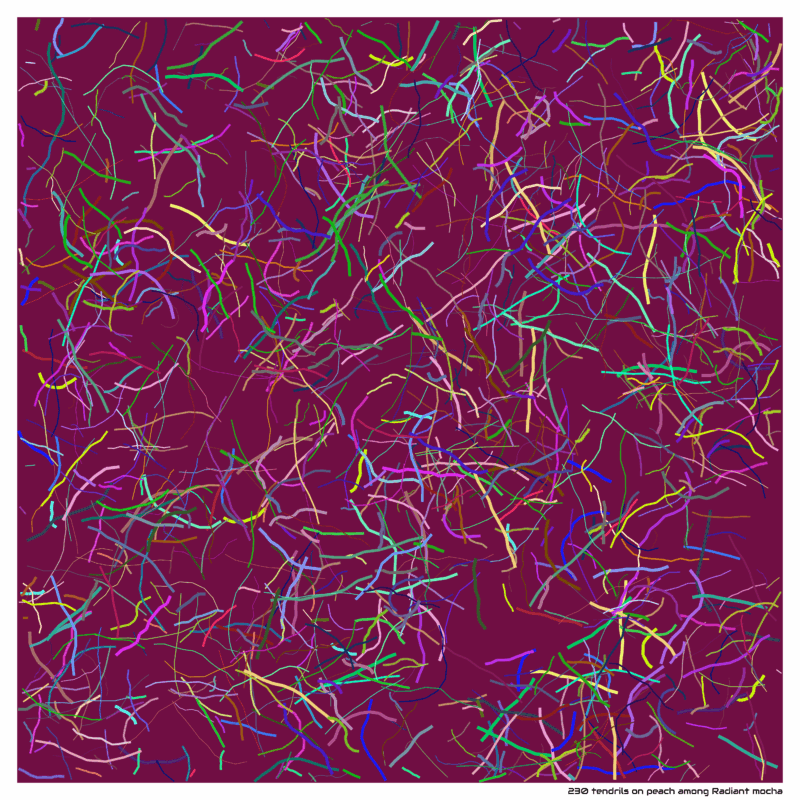 230 tendrils on peach among Radiant mocha