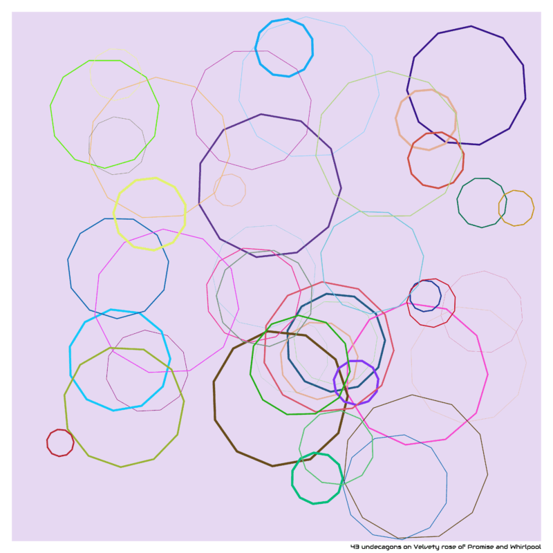43 undecagons on Velvety rose of Promise and Whirlpool
