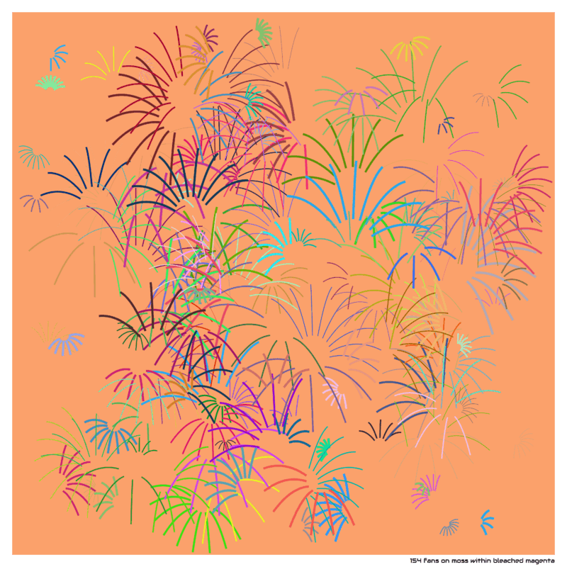 154 fans on moss within bleached magenta