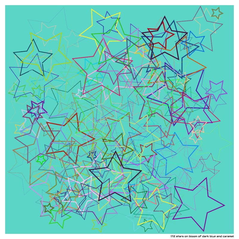 172 stars on bloom of dark blue and caramel