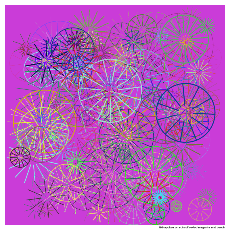 189 spokes on ruin of veiled magenta and peach