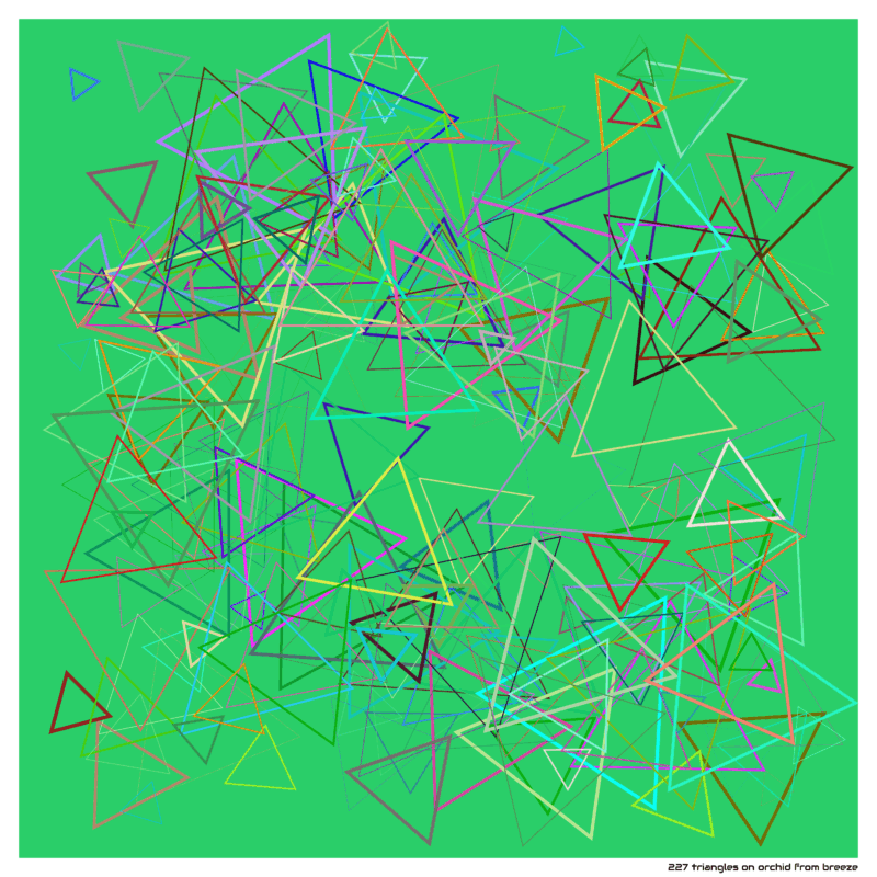 227 triangles on orchid from breeze