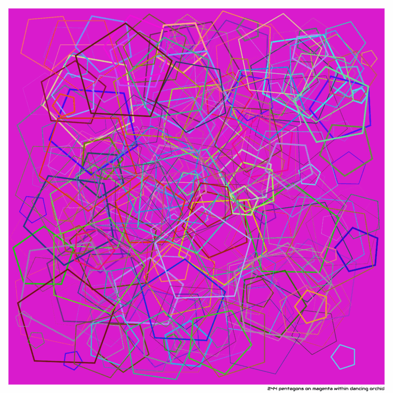 244 pentagons on magenta within dancing orchid