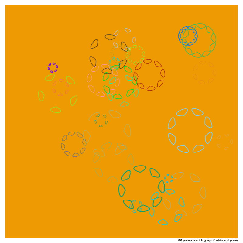 26 petals on rich grey of whim and pulse