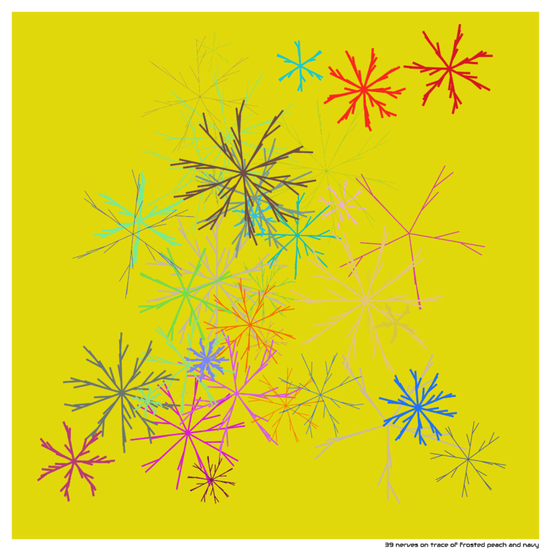 39 nerves on trace of frosted peach and navy