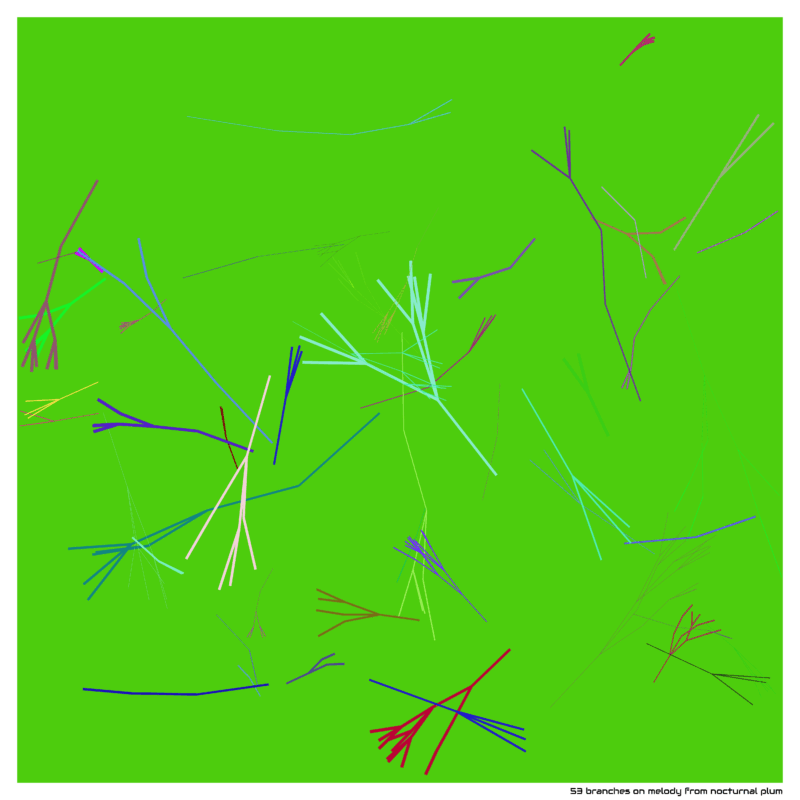 53 branches on melody from nocturnal plum