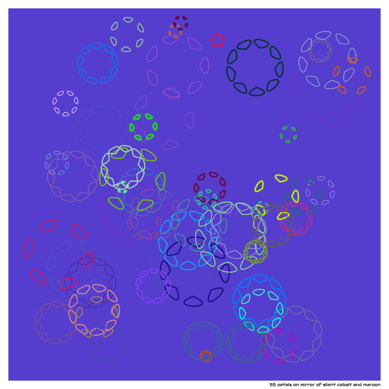 55 petals on mirror of silent cobalt and maroon