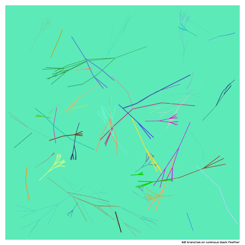 60 branches on luminous black feather