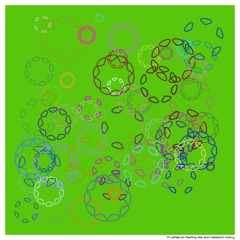 77 petals on fleeting lime and iridescent cherry