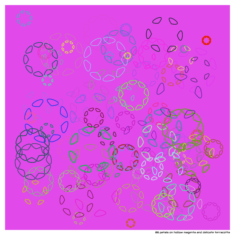 86 petals on hollow magenta and delicate terracotta