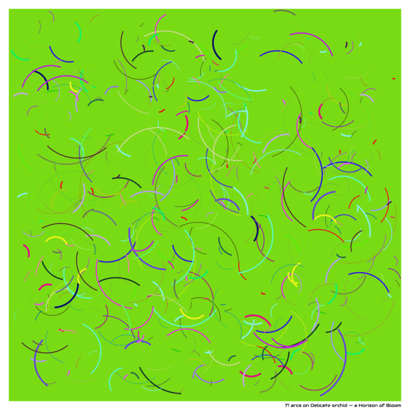 71 arcs on Delicate orchid — a Horizon of Bloom