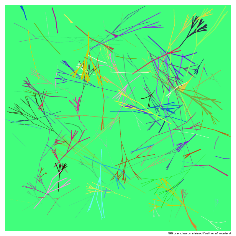 133 branches on stained feather of mustard