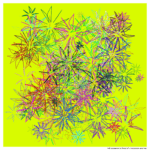 149 splashes fieldofvividpeachandtan