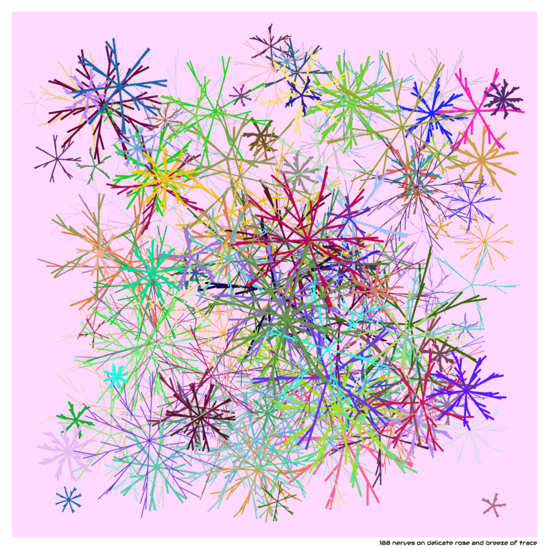 188 nerves delicateroseandbreezeoftrace