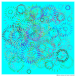 198 ticks aquaandcoralinwhirlpool