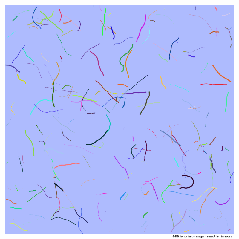 206 tendrils magentaandtaninsecret