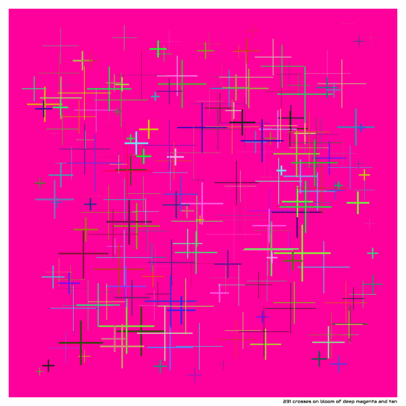 231 crosses on Bloom of Deep magenta and tan