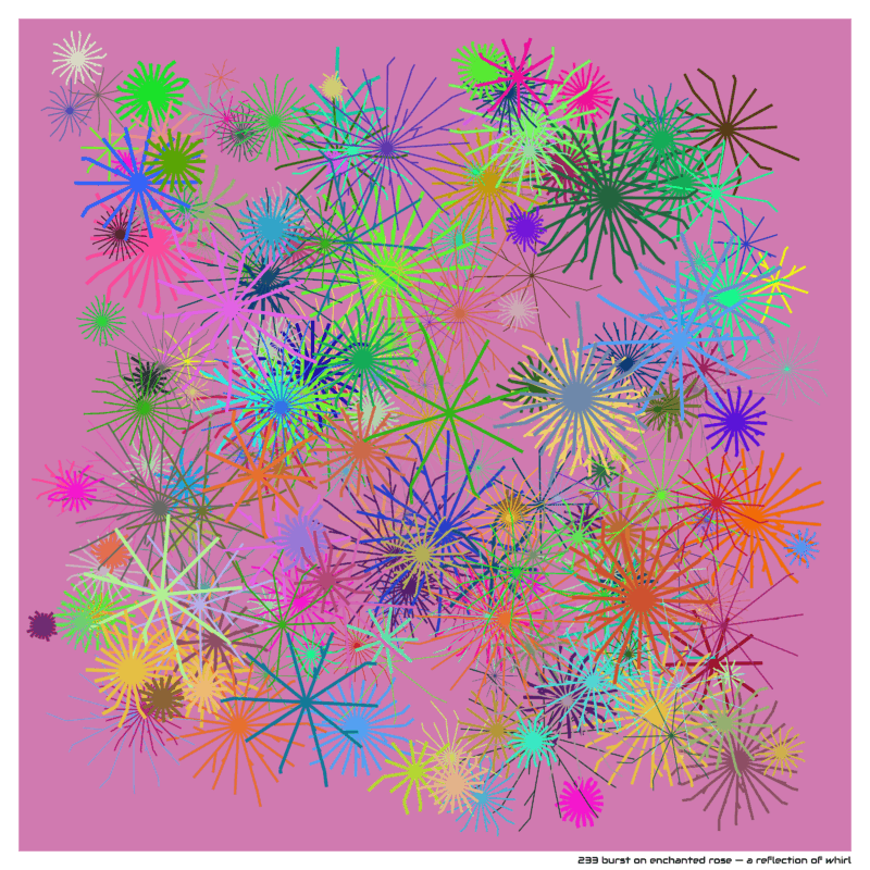 233 burst enchantedrose areflectionofwhirl
