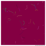 48 tendrils glowingapricotreign