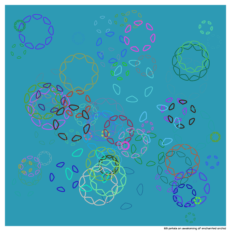 69 petals awakeningofenchantedorchid