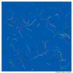 173 ribbons twilight over the star