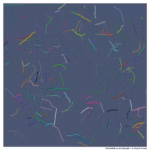 173 tendrils echoing ash a ritual of shade