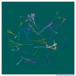 197 branches translucent olive stone